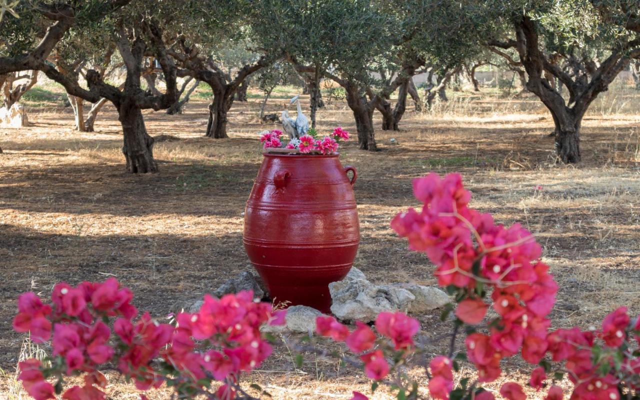 Xirouchakis Farm *