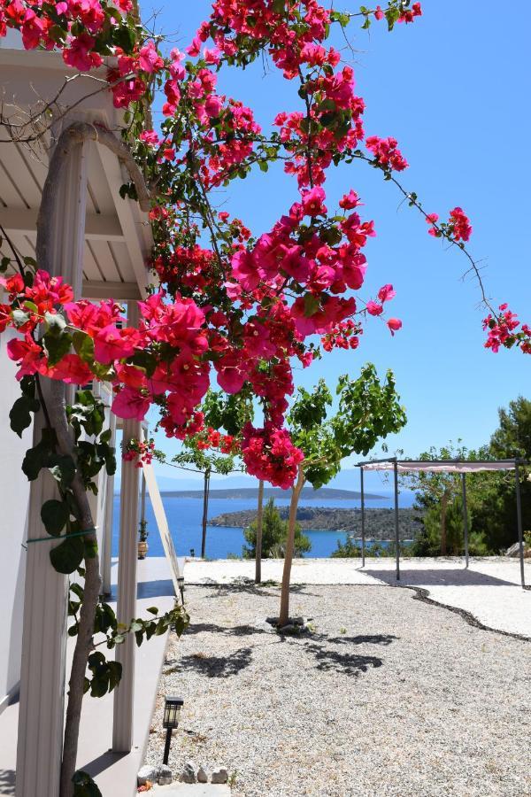 Avatonblue Nafplio *