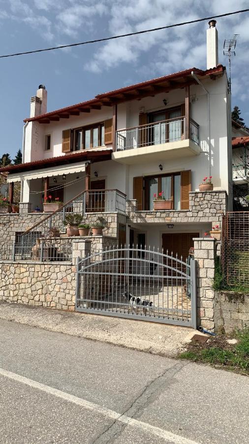 ξύλο & παράδοση Pavliani