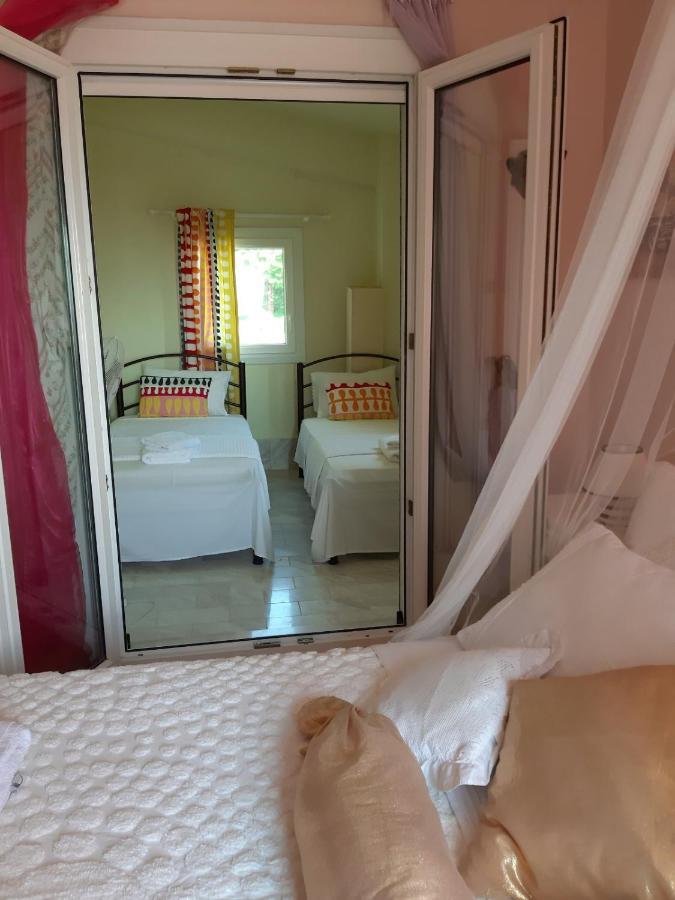 Palio Apartment
