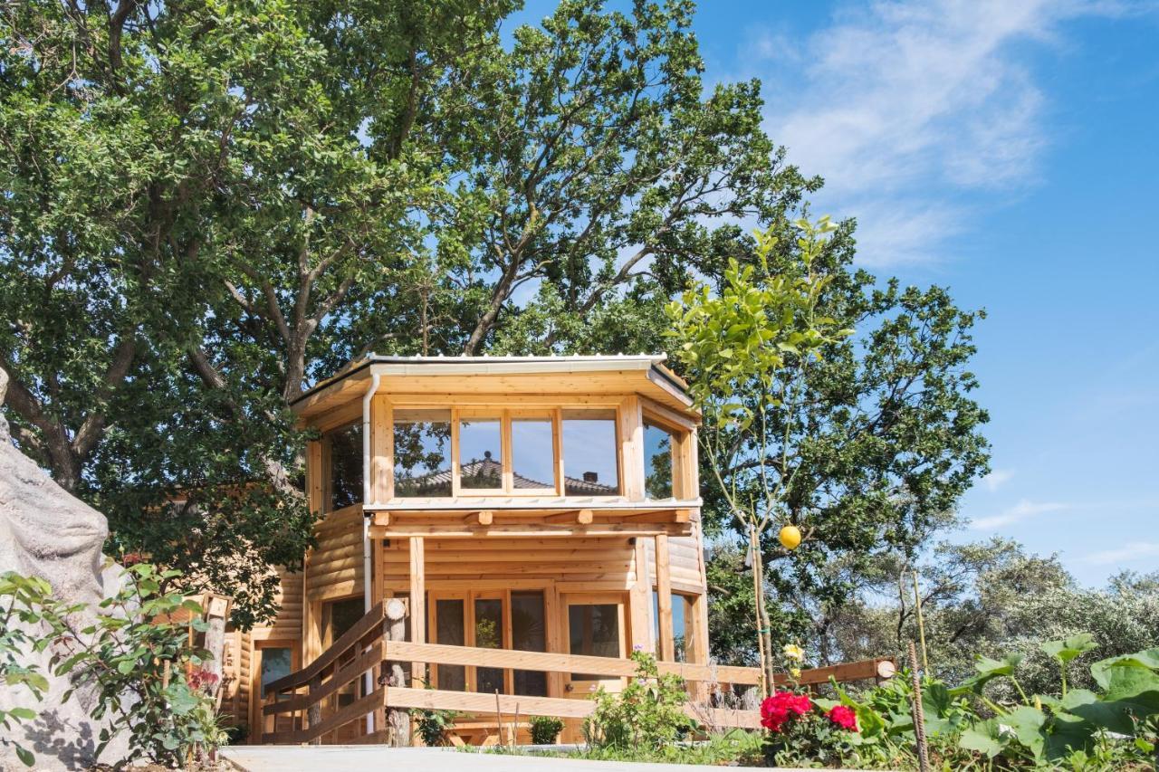 Romantic Tree House Holiday home Kato Pavliana