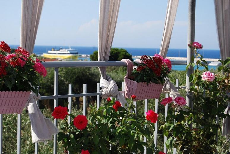 Guest house Traditional The Small Museum Ionian Sea