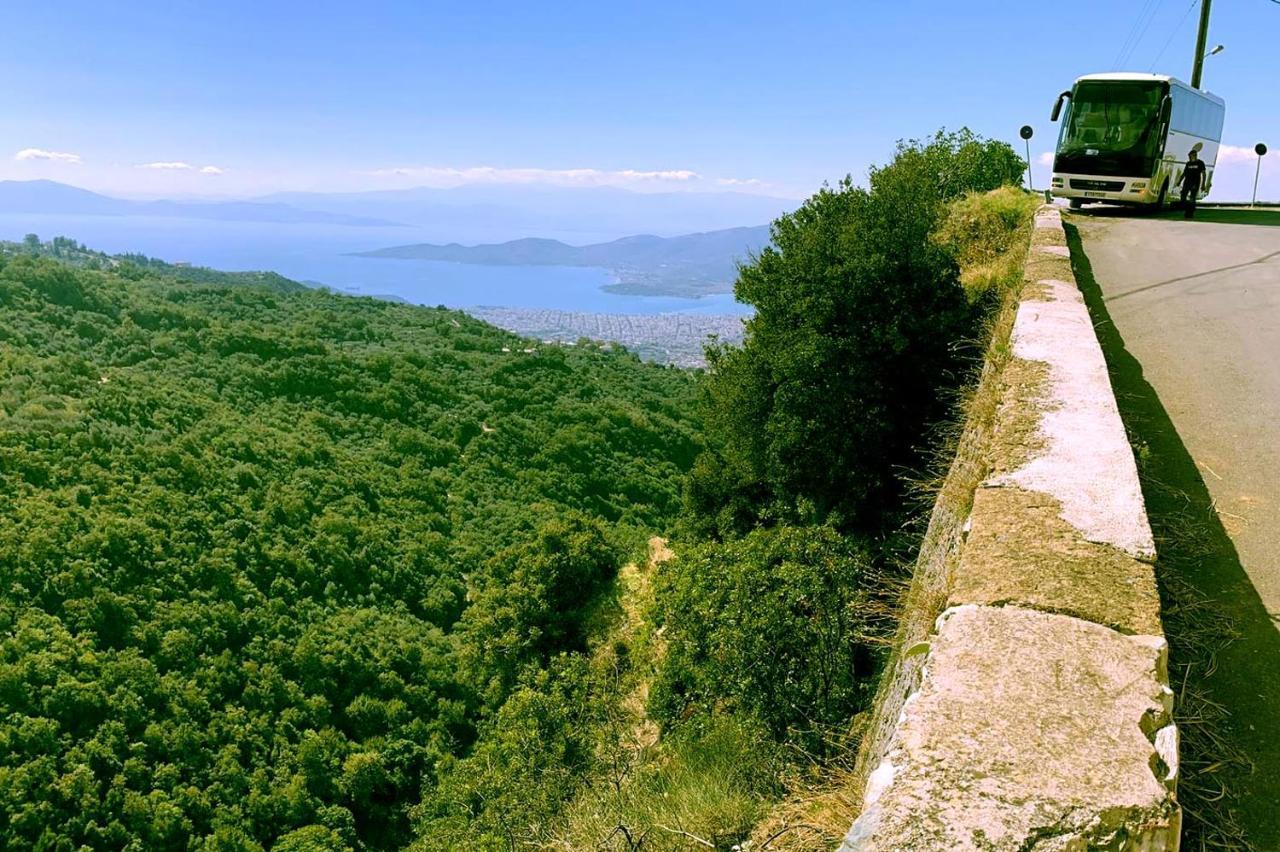 Guest house The Lotus Tree Archontiko & Activity Pelion