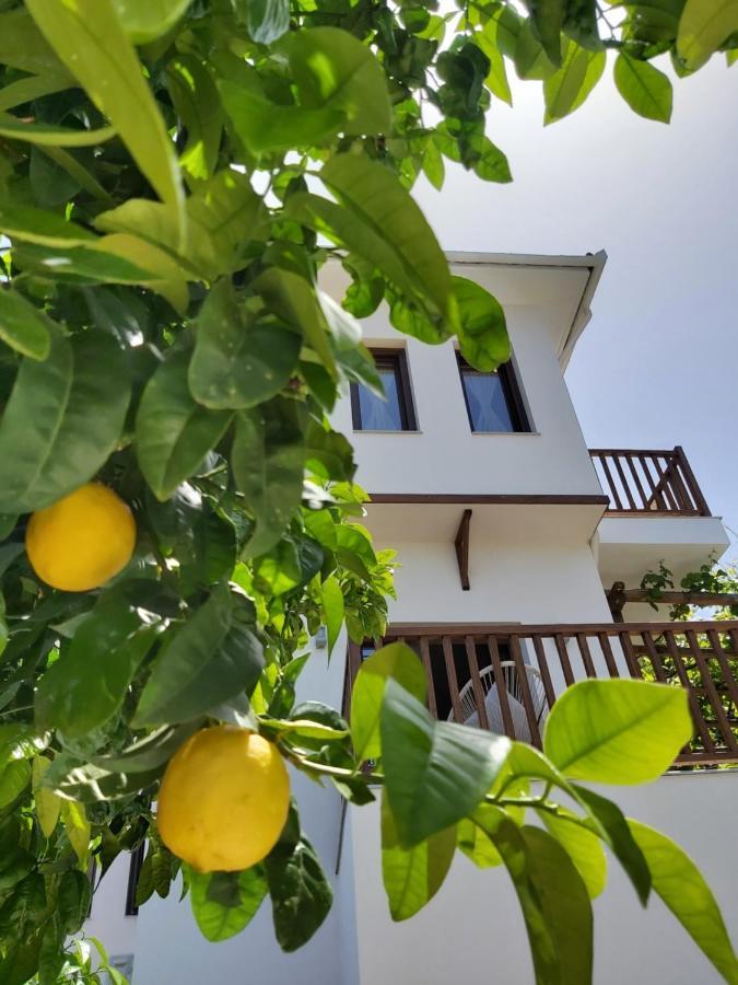 Aegean Blue - Stivachtis Agios Ioannis (Thessaly)