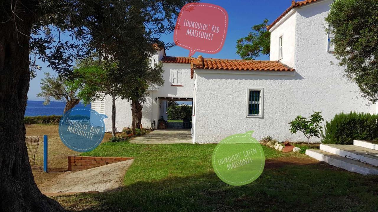 Loukoulos' Maisonette Holiday home