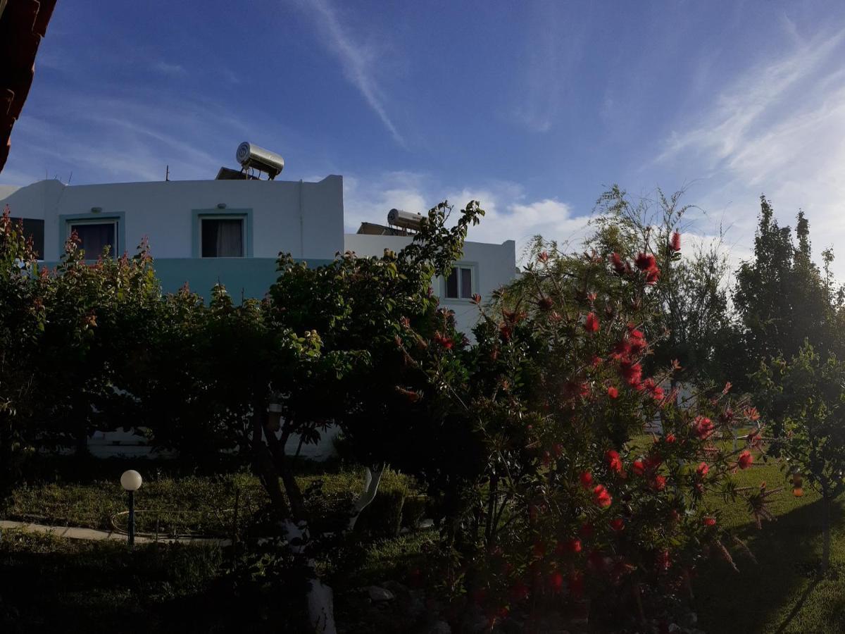 Zikas * Marmari (Kos)