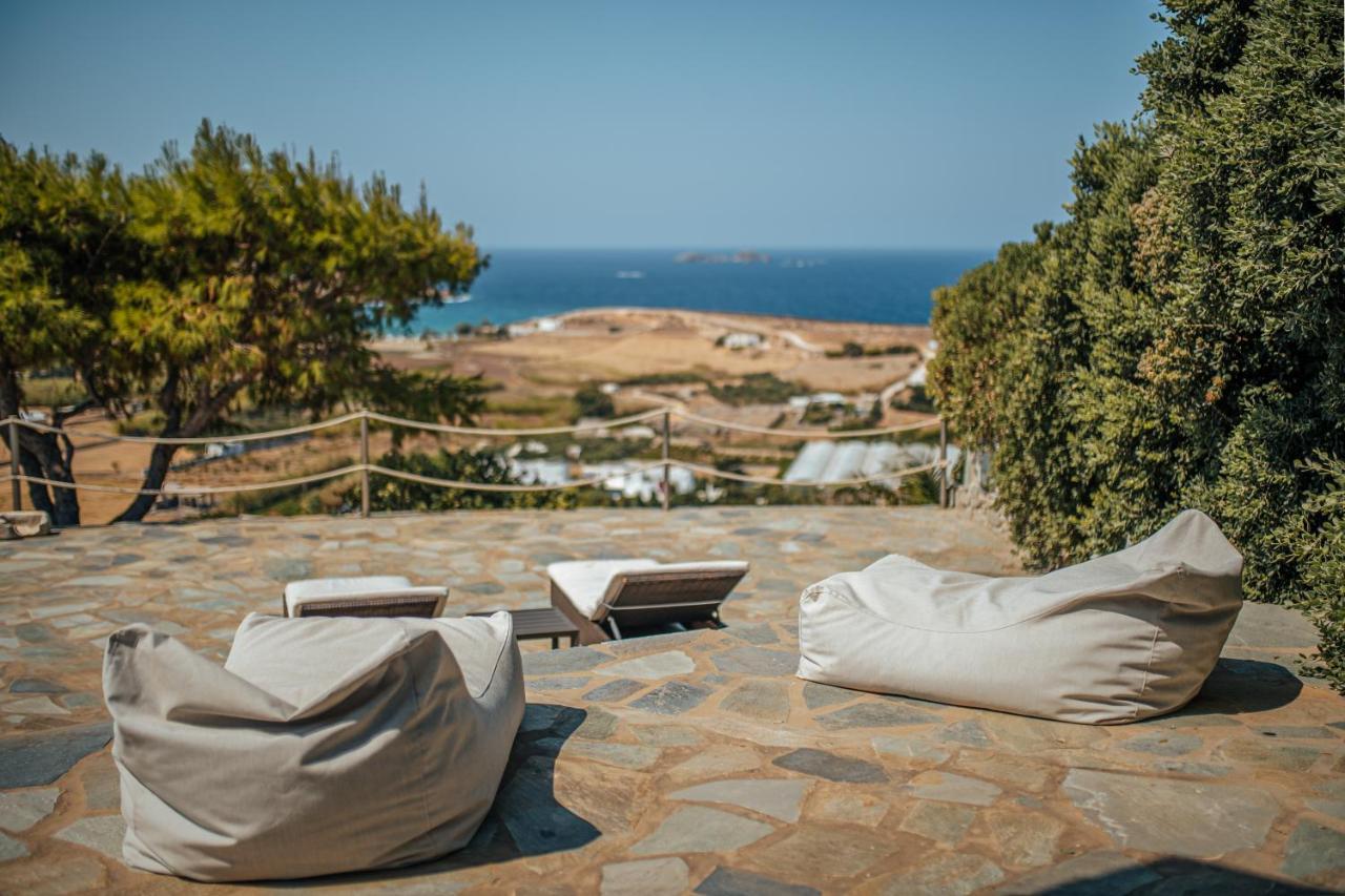 Terra * Parikia (Paros)