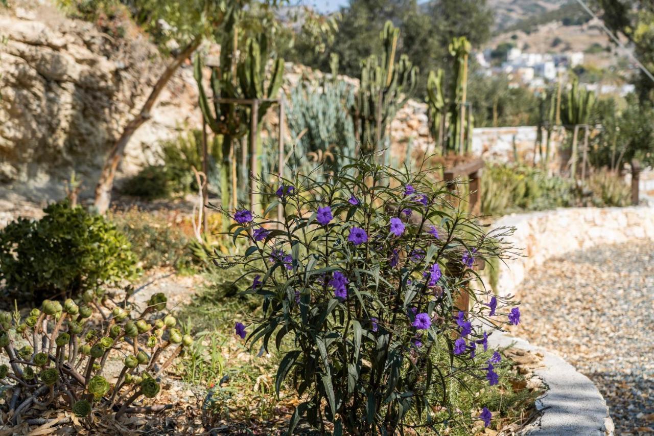 Anassa Cycladic Village Resort Galissas