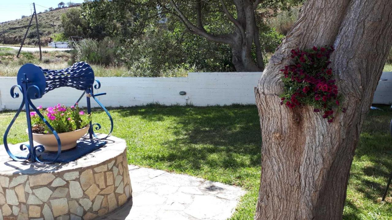 Restia Agios Petros (Andros)