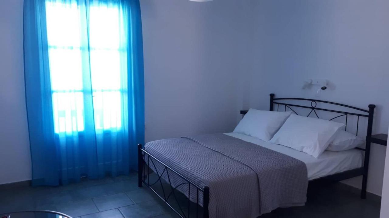Apartment Ammonitis