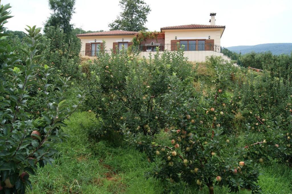 Holiday home Spacious Paradise With Stone-build Patio Chorefton