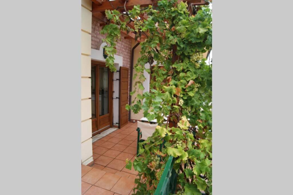 Spacious Paradise With Stone-build Patio * Chorefton