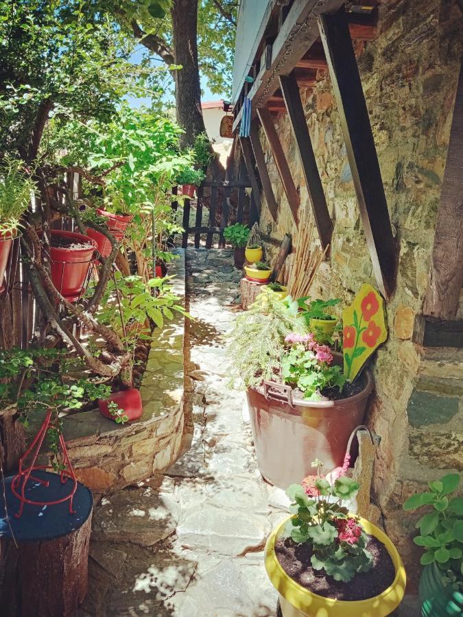 Traditional Erato Guest house *