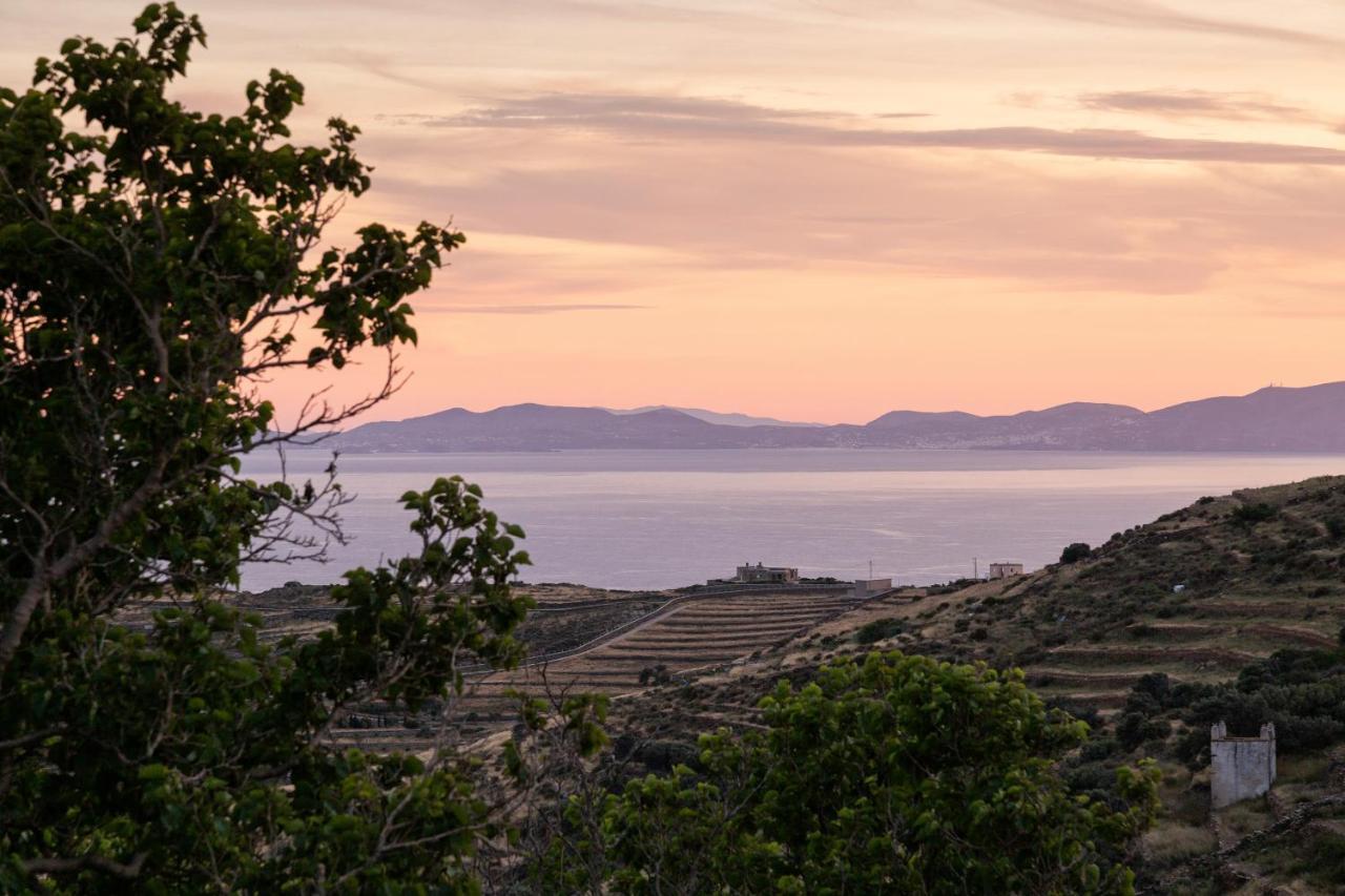 Tinos Dove * Triandaros (Tinos)
