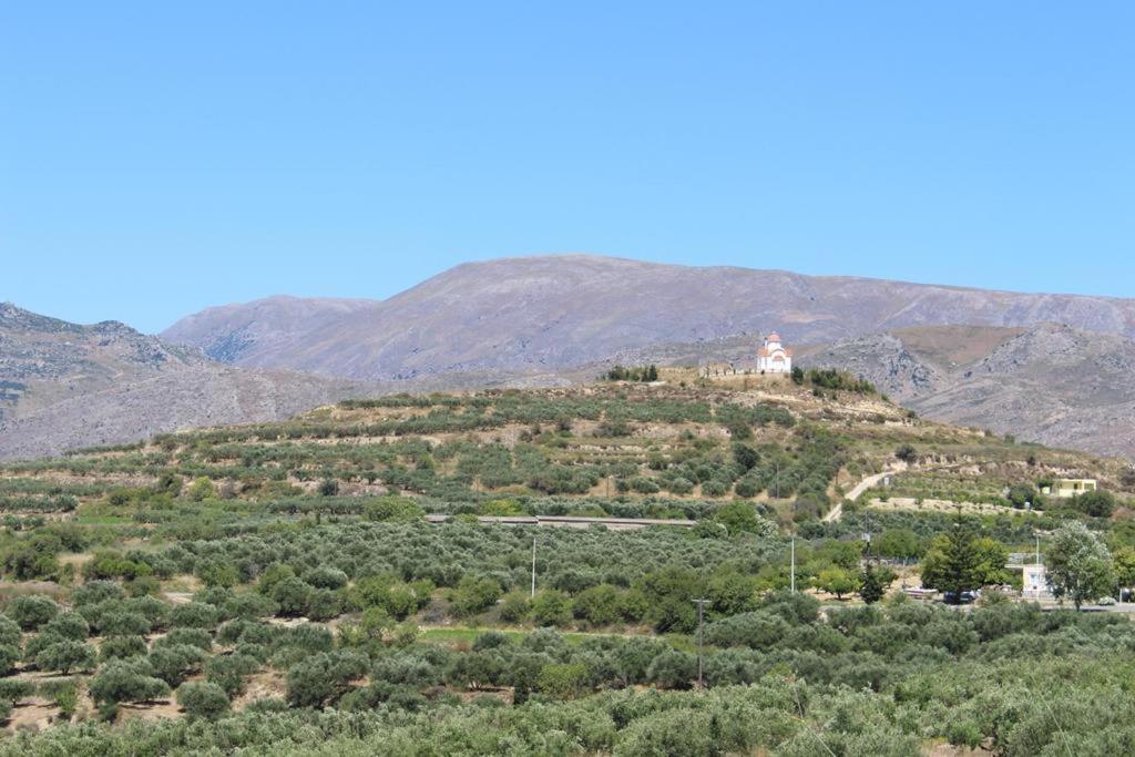 Apartment Grapevines Makry Gialos (Crete)
