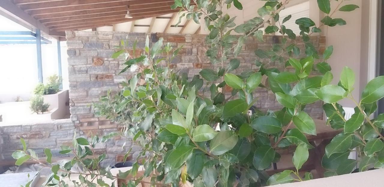 Aparthotel Petries Agioi Apostoloi (Evia)