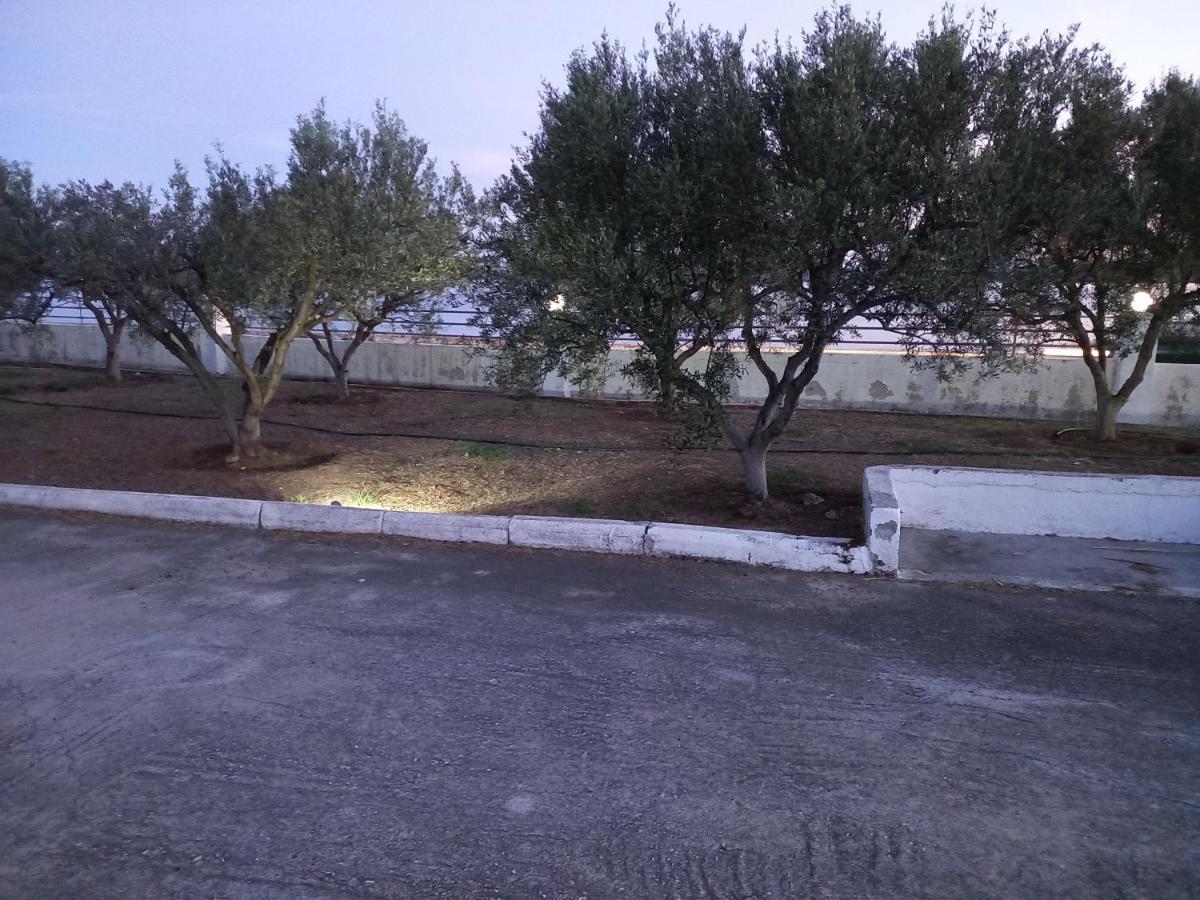 Hotel Dardiza *