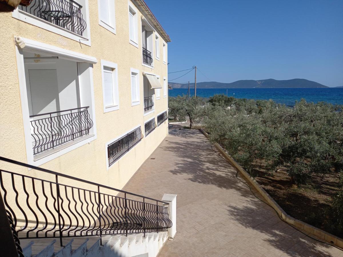 Dardiza Hotel *