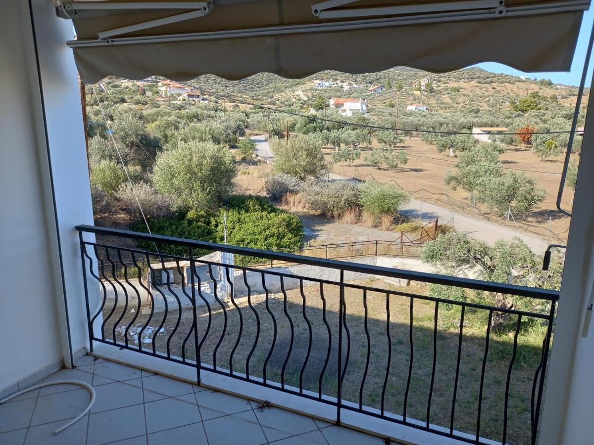 Hotel Dardiza *