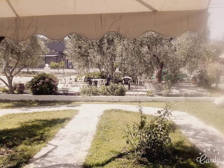 Asterias Apartment