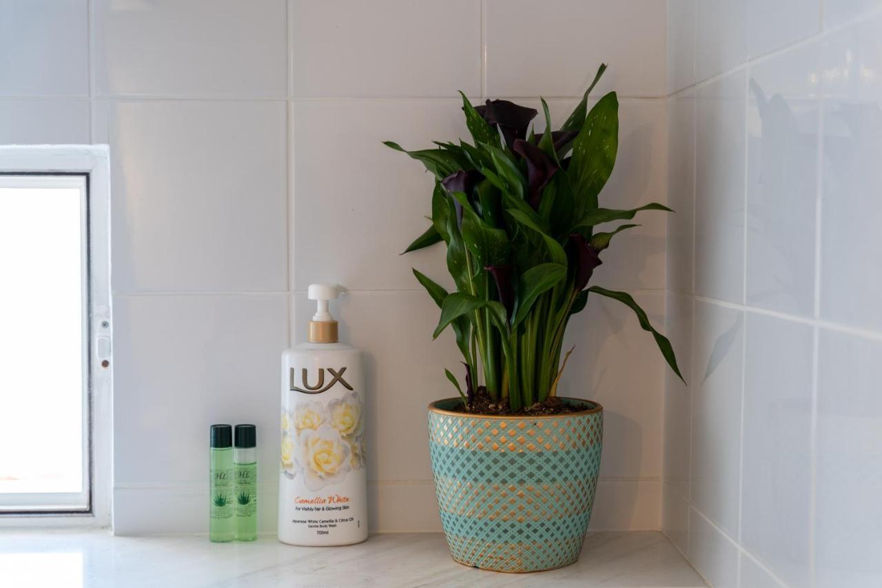 Apartment Simple Pleasures *