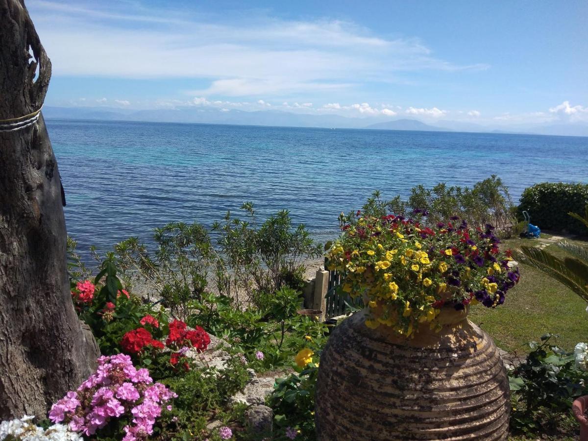 Nausica... A Sense Of Paradise! * Agia Pelagia Chlomou
