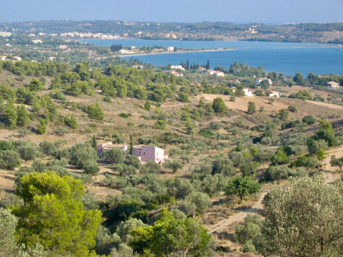 Holiday home Roxanne's Olive Grove House Kranidi