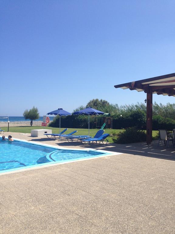 Stafilia 3*