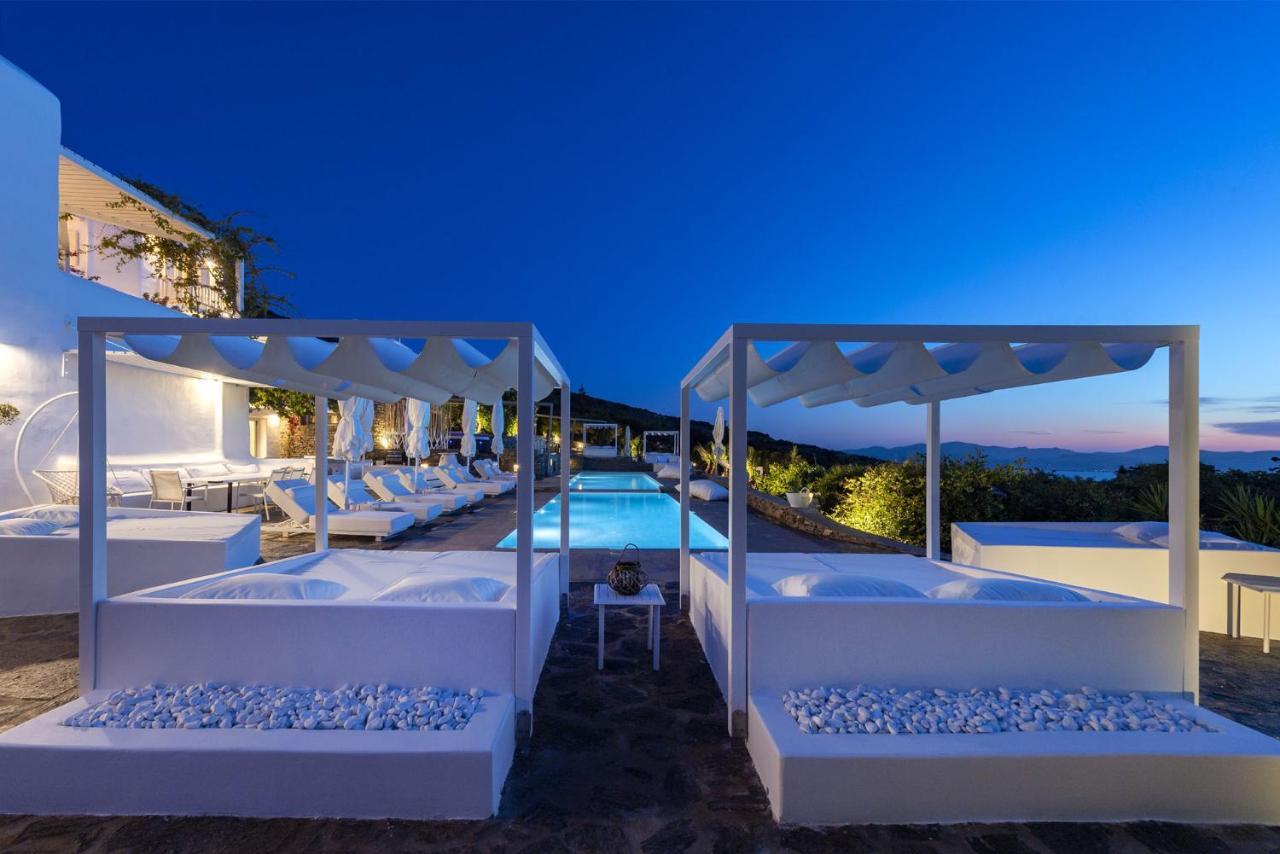 Paros Butterfly *