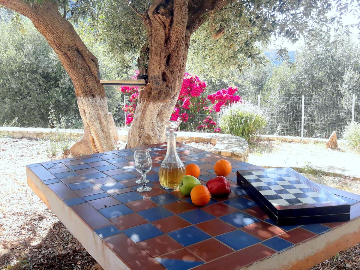 Olivetree House Holiday home Vathy (Ithaca)