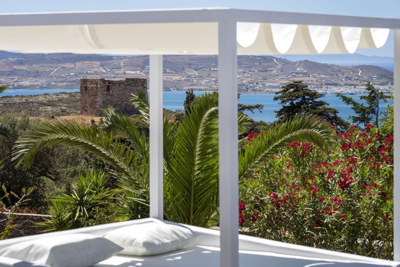 Apartment Paros Butterfly