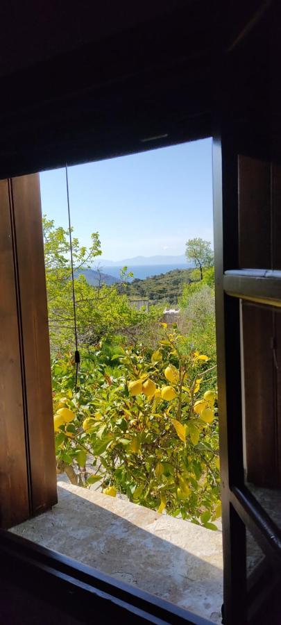 Alikias * Panormos (Skopelos)