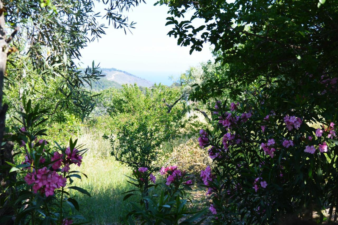Holiday home Alikias