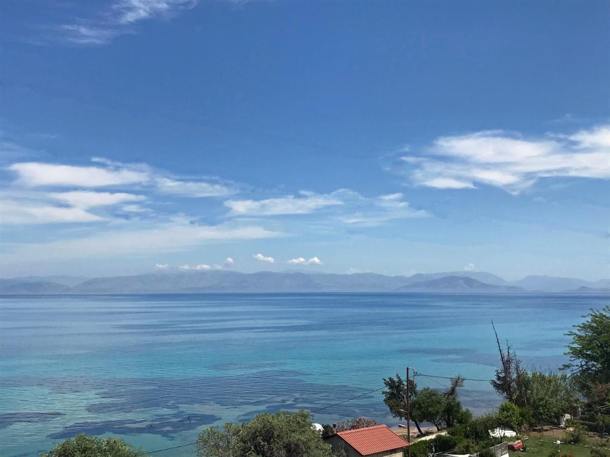 Aliki Studios *