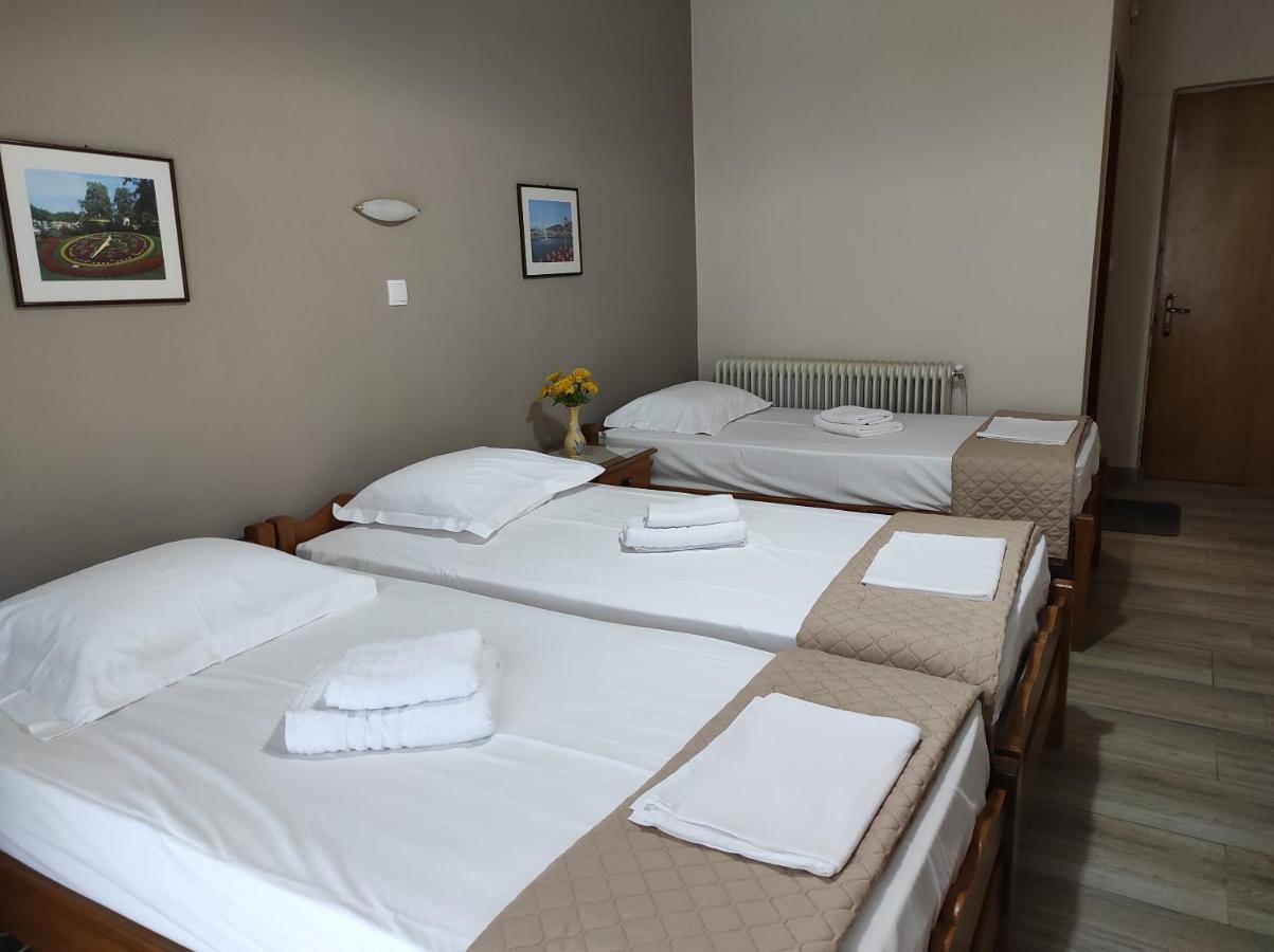 Guest house ενοικιαζόμενα ενιπεύς- Enipeas Litochoro