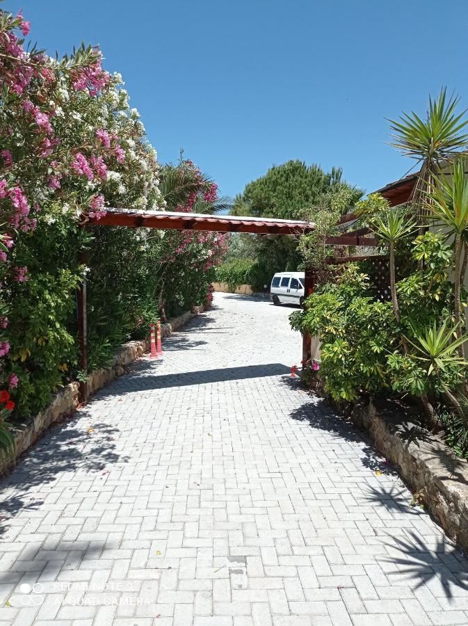 Aparthotel Alexandros Kalamaki (Chania)
