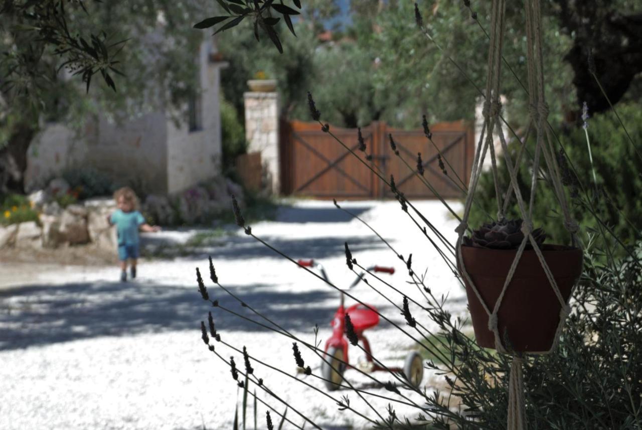 Lioriza Country Holiday home Kalamaki (Zakynthos)