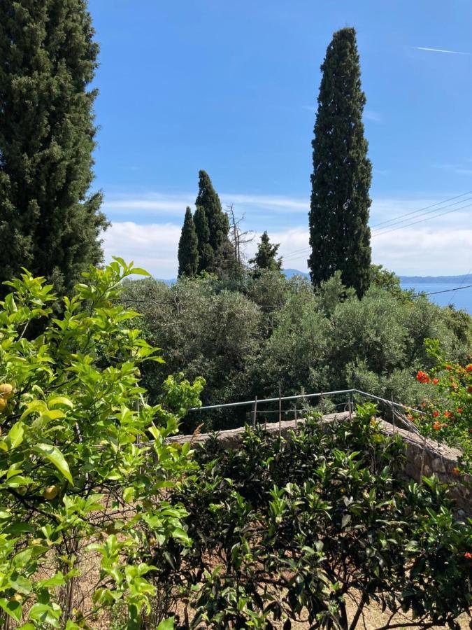 Apartment Aliki's Comfortable Holiday Apartments-great Location *