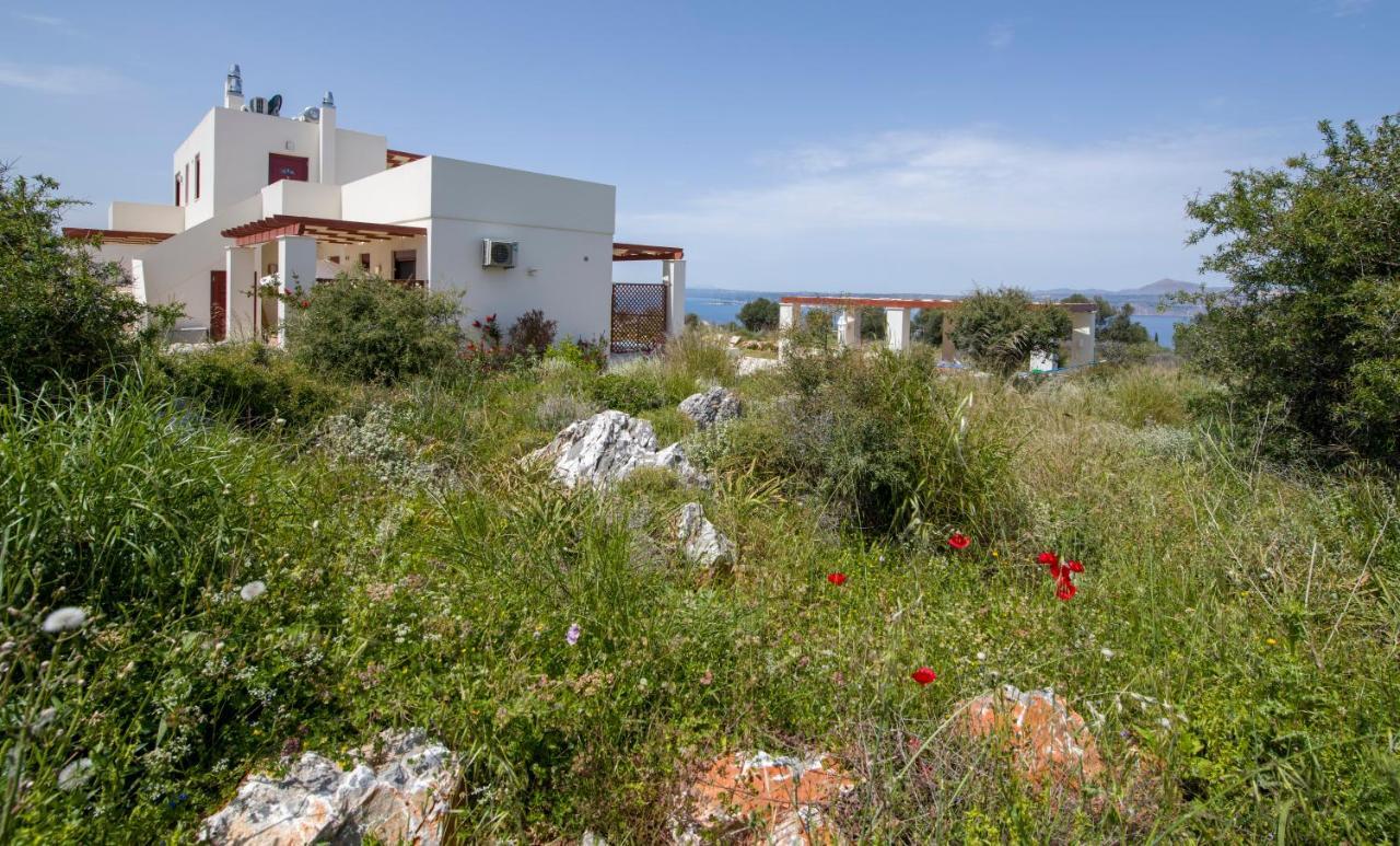 Apartment Phenωmena *