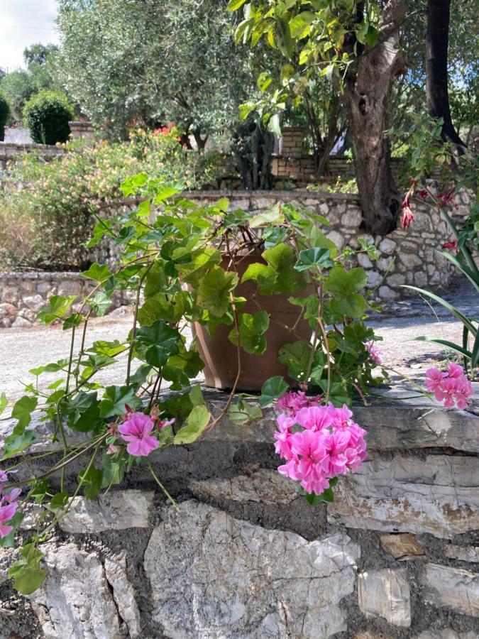 Aliki's Comfortable Holiday Apartments-great Location Apartment *