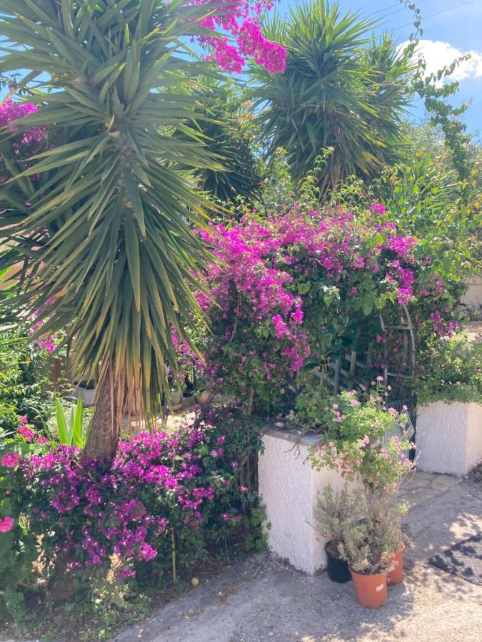 Aliki's Comfortable Holiday Apartments-great Location * Nisaki (Corfu)