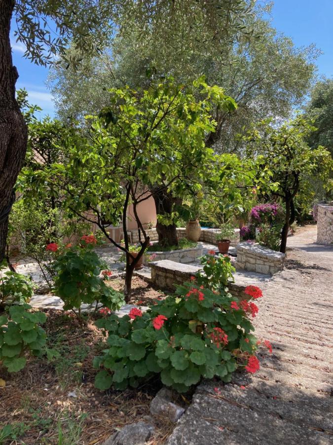 Apartment Aliki's Comfortable Holiday Apartments-great Location Nisaki (Corfu)