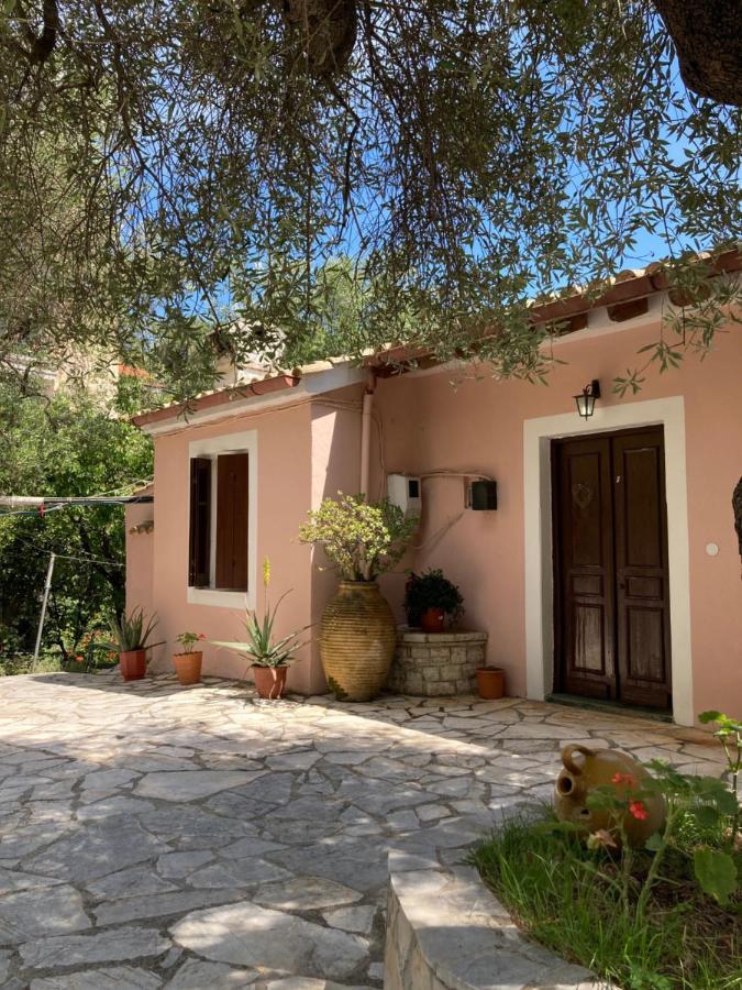 Aliki's Comfortable Holiday Apartments-great Location * Nisaki (Corfu)