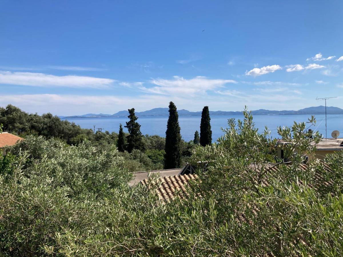 Aliki's Comfortable Holiday Apartments-great Location Apartment