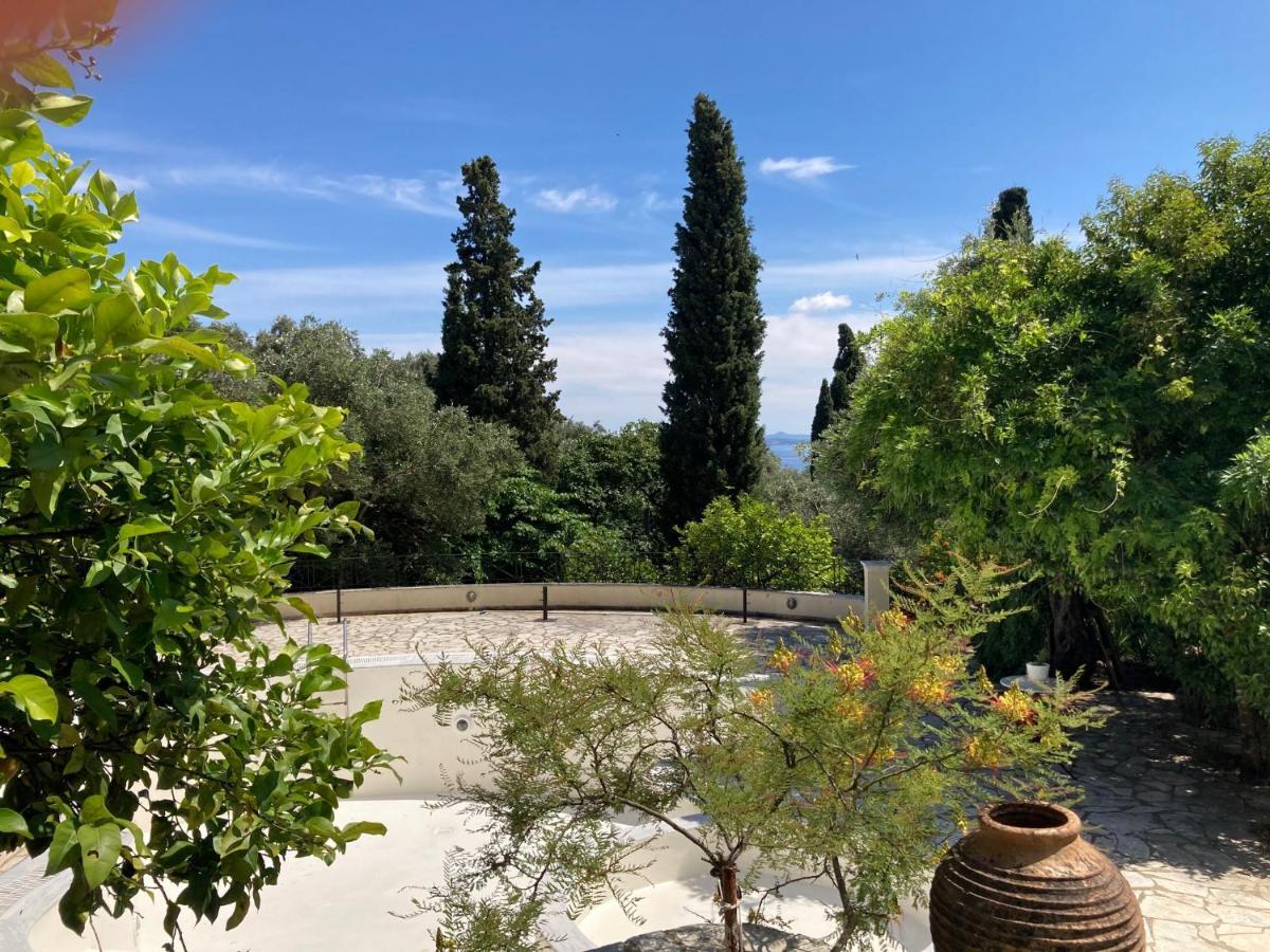 Apartment Aliki's Comfortable Holiday Apartments-great Location Nisaki (Corfu)