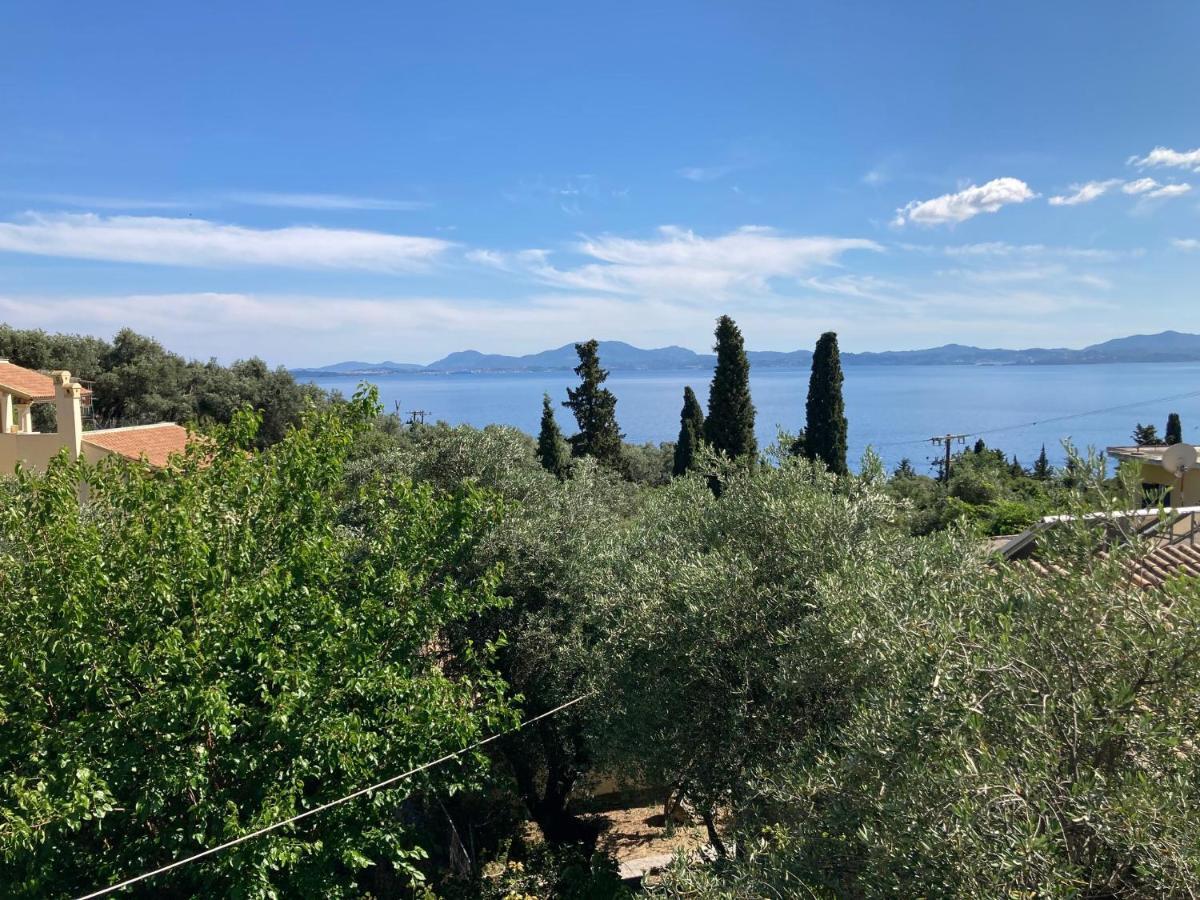 Aliki's Comfortable Holiday Apartments-great Location Nisaki (Corfu)
