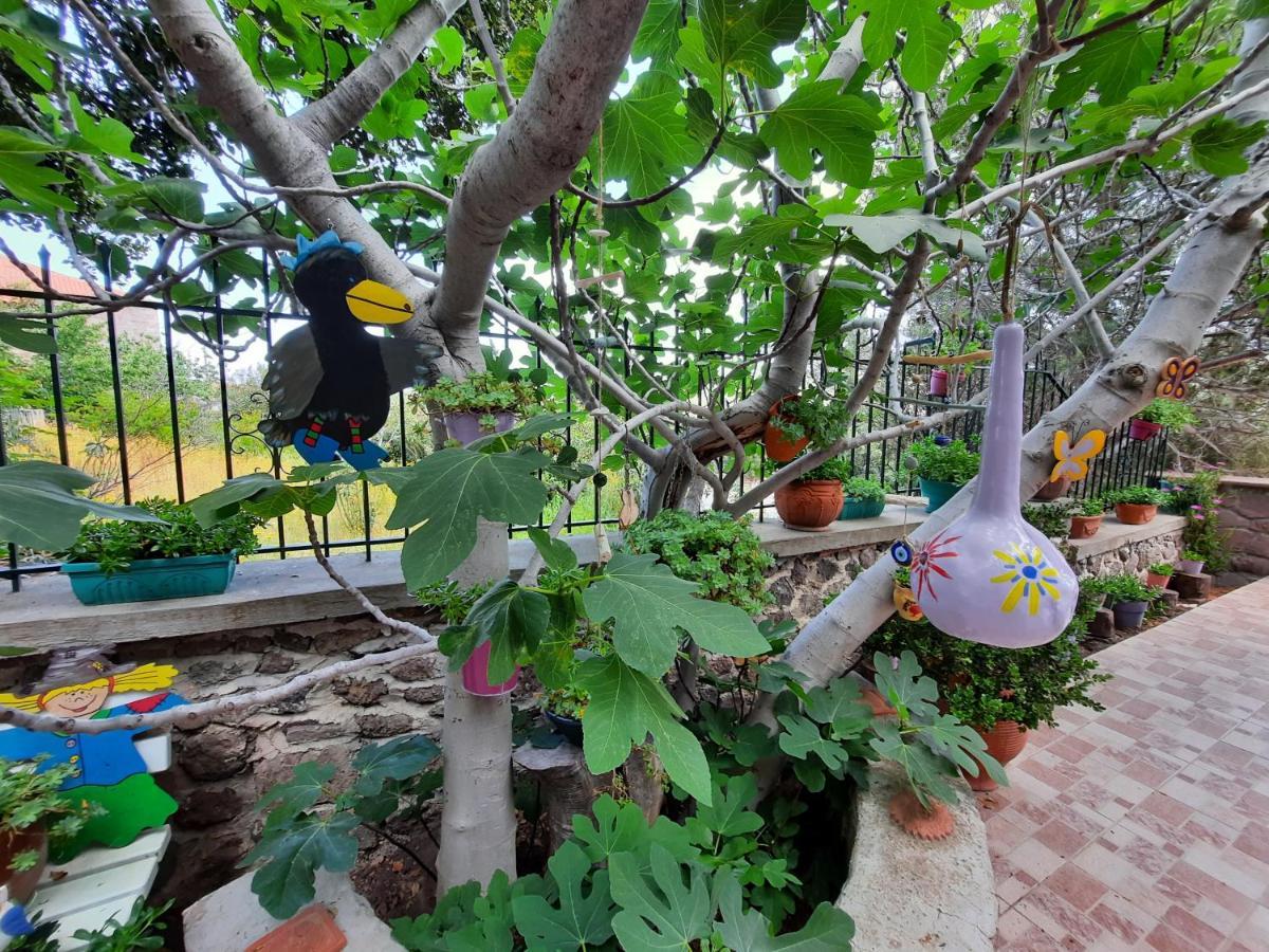 Apartment Anemona