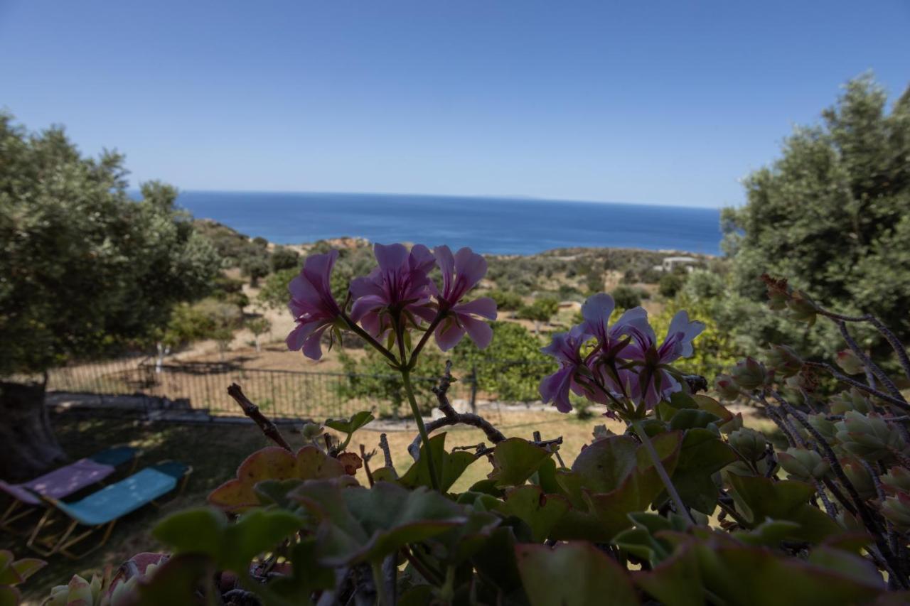 Manolis' House * Agia Paraskevi (Agios Vasileios, Rethymno)