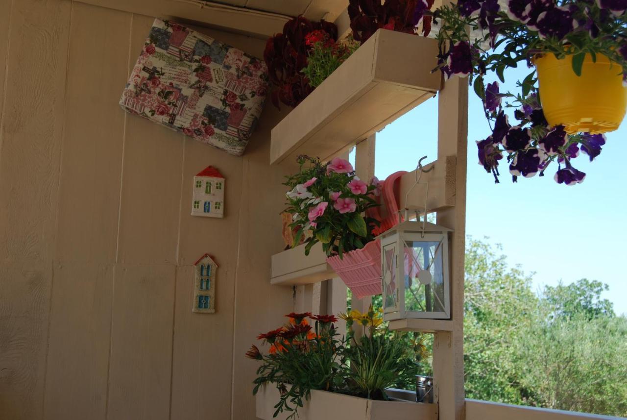 Luxury Traditional The Small Bookstore Guest house Kastro-Kyllini