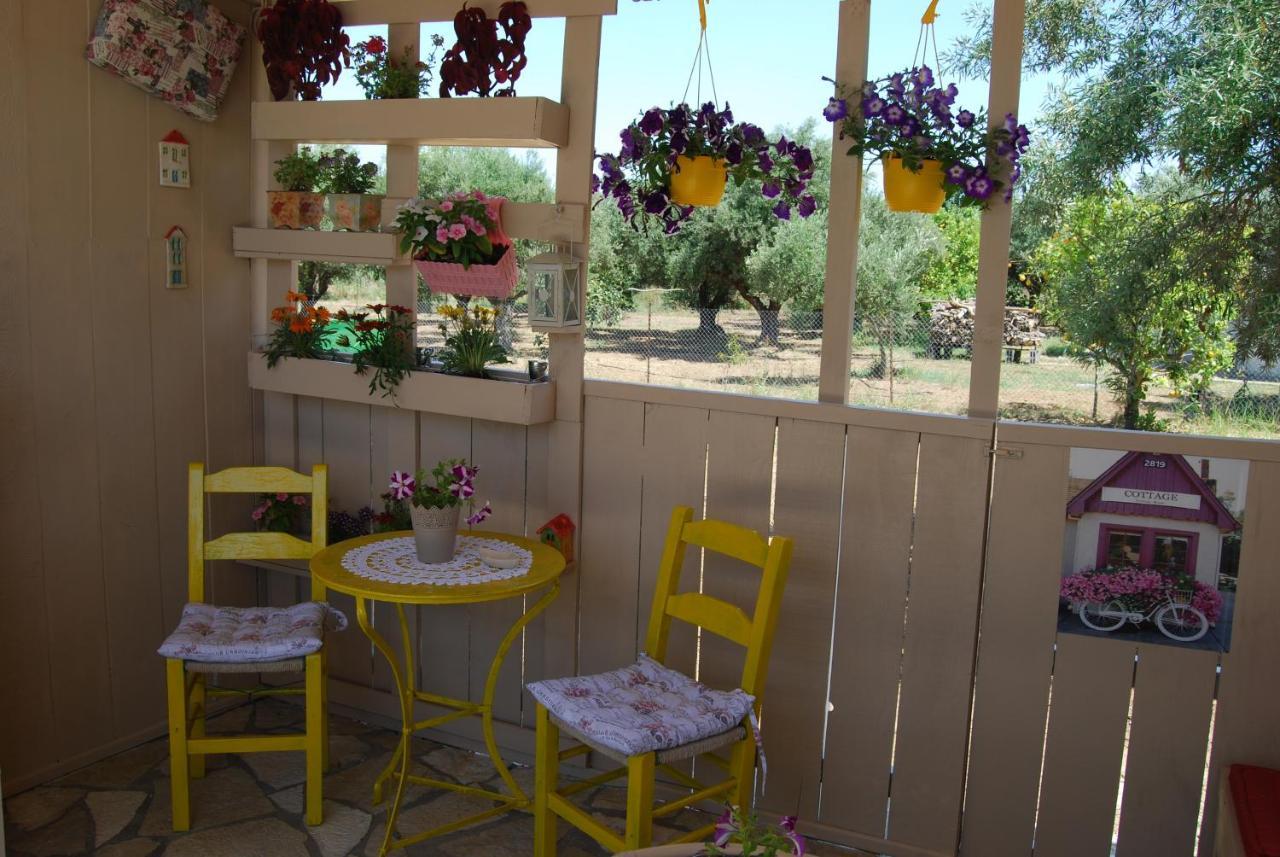 Luxury Traditional The Small Bookstore Guest house